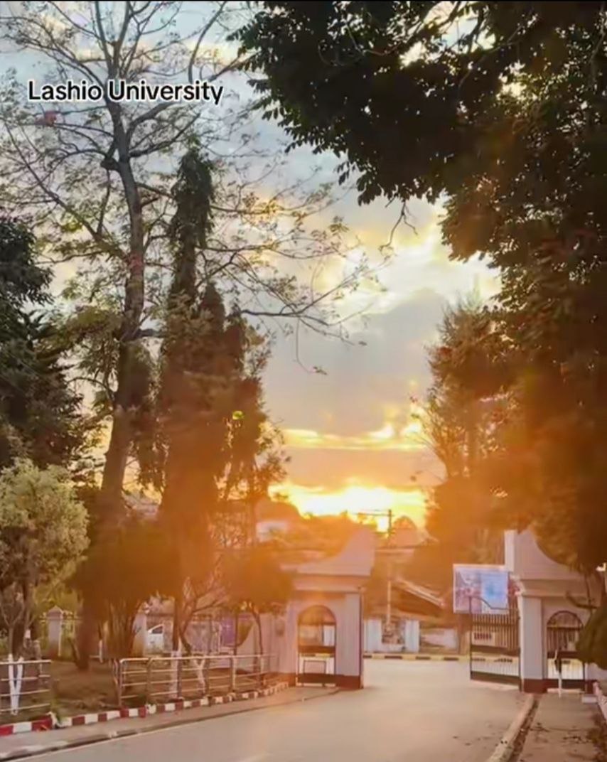University of Yangon Library