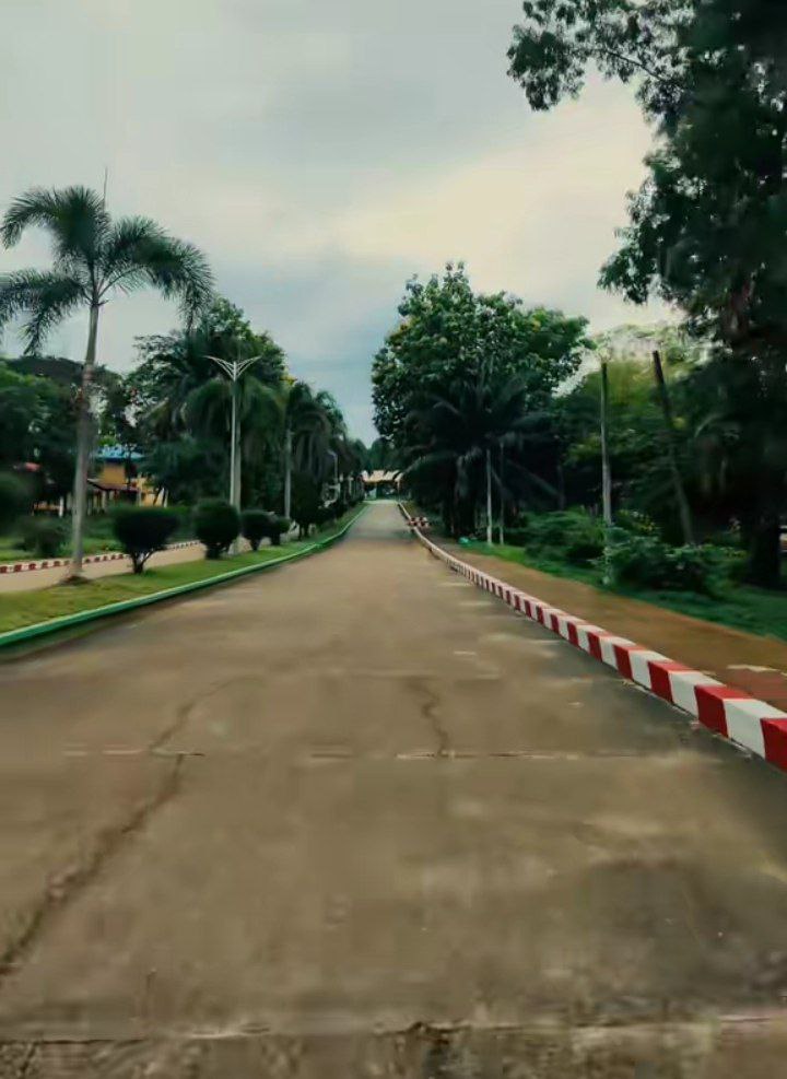 Library and Study Spaces