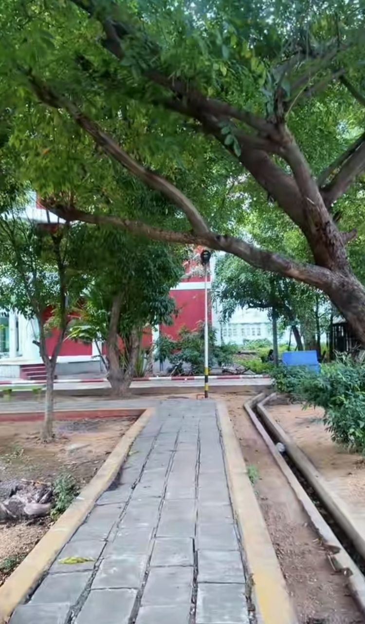 Library and Study Spaces