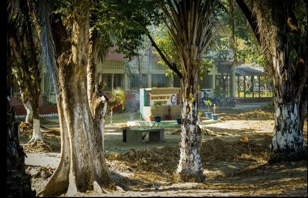 University of Yangon Library
